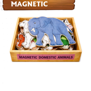 Magnetic Domestic Animals Wooden Set