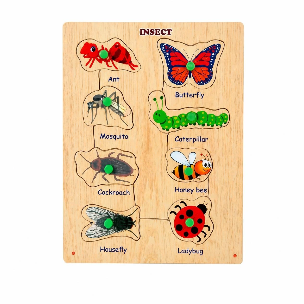 liftout puzzle paper tray insect - PS104